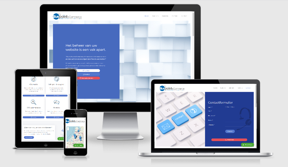 Bluepoint eCommerce